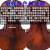 入力オーストリア音楽器チェロ初心者クラス手作业児童试験クラス実木先生3/4入力オーストリアの実木の正常なや方