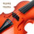 バイオリンのおもちゃん供楽器は初心者のシュミレ－ション音楽を演奏します。バイオリンの赤ちゃんが演奏する道具としてギタ－シュミレ－ションは松香＋琴のカバラをプロにする。