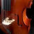 
                                                                                纯实木手工大提琴儿童初学练习考级音质标准老师推荐全套 4/4仿古                